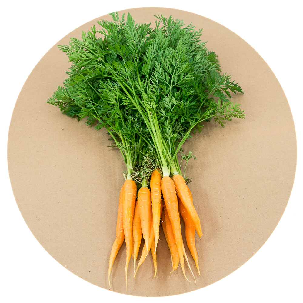 A variety of Seasonal Roots found in the Large basket